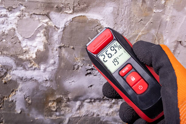 Best Bathroom Mold Remediation in Cheverly, MD